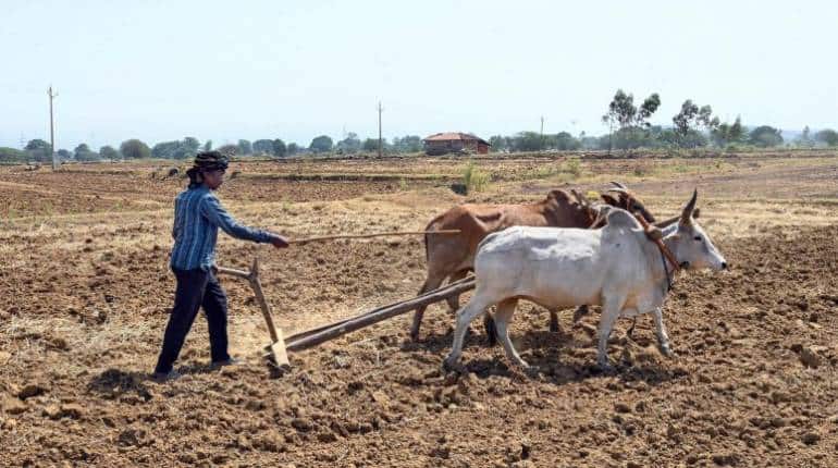 PM Kisan Samman Nidhi: इस वजह से किसानों को नहीं मिलती किश्त, कभी न करें ऐसी गलती PM Kisan Samman Nidhi: इस वजह से किसानों को नहीं मिलती किश्त, कभी न करें ऐसी गलती