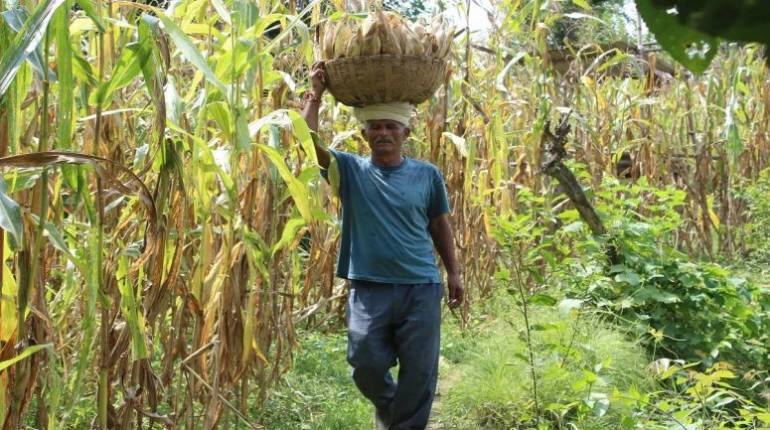 PM Kisan Samman Nidhi: इस राज्य ने फर्जी किसानों से 26 करोड़ रुपये वसूले, जानिए कैसे हुआ खुलासा PM Kisan Samman Nidhi: इस राज्य ने फर्जी किसानों से 26 करोड़ रुपये वसूले, जानिए कैसे हुआ खुलासा