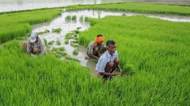 PM Kisan Samman Nidhi: किश्त पाने से ज्यादा लौटाने की चिंता, जानिए कैसे चेक करें पैसे वापस करना है या नहीं PM Kisan Samman Nidhi: किश्त पाने से ज्यादा लौटाने की चिंता, जानिए कैसे चेक करें पैसे वापस करना है या नहीं