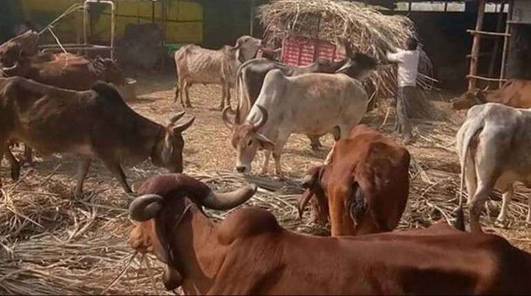 PM Kisan Samman Nidhi: सरकार ने किसानों को दी डबल खुशी, 12वीं किश्त के बाद फिर मिले पैसे