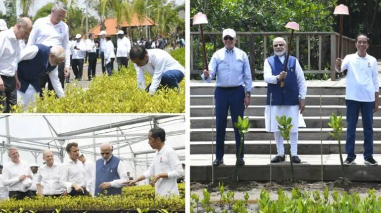 Mangrove Forest in Bali: पीएम मोदी ने बाली में G-20 नेताओं के साथ मैंग्रोव जंगल का किया दौरा, लगाए पौधे, देखें तस्वीरें