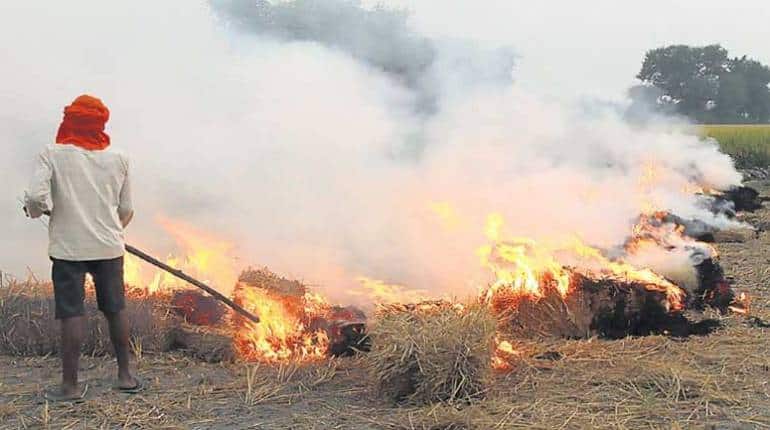 पराली से बनेगी सड़क, नितिन गडकरी ने बनाया खास प्लान, दिल्ली- NCR को प्रदूषण से मिलेगी राहत