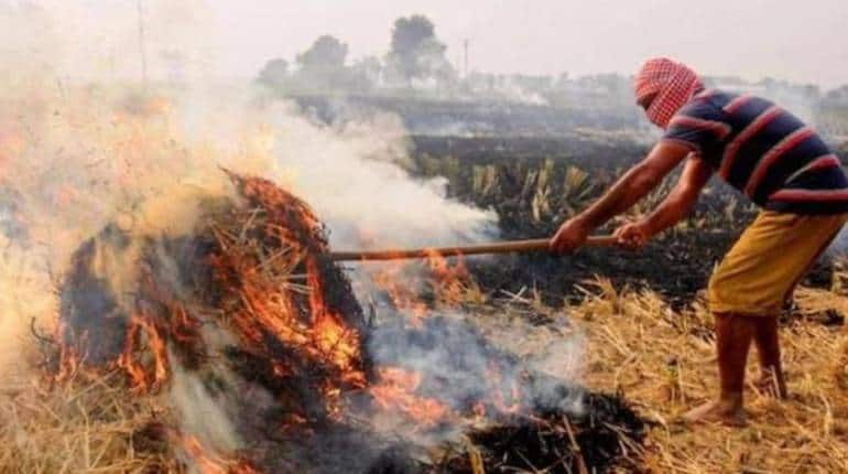PM Kisan Samman Nidhi: UP के देवरिया में पराली जलाने वाले किसानों पर गिरी गाज, सम्मान निधि रोकने का नोटिस PM Kisan Samman Nidhi: UP के देवरिया में पराली जलाने वाले किसानों पर गिरी गाज, सम्मान निधि रोकने का नोटिस
