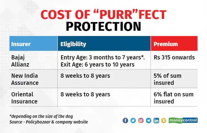 pet insurance premium
