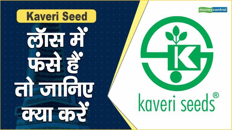 Kaveri Seed Share Price: लॉस में फंसे हैं तो जानिए क्या करें – Kaveri Seed Share Price are up what should investors do