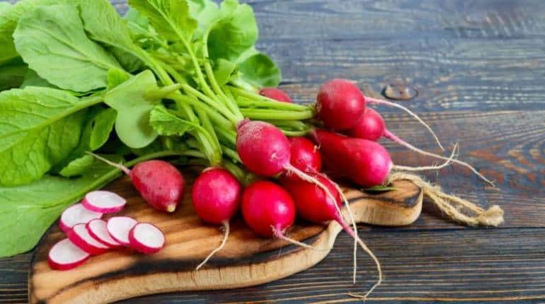 Red Radish: सफेद मूली से कई गुना महंगी बिकती है लाल मूली, जानिए इसके फायदे और कमाई