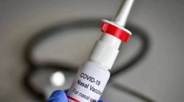 Intranasal Covid-19 Vaccine: सरकारी अस्पताल से 325 रुपए में मिलेगी भारत बायोटेक की इंट्रानैसल वैक्सीन, प्राइवेट की कीमत भी हुई तय Intranasal Covid-19 Vaccine: सरकारी अस्पताल से 325 रुपए में मिलेगी भारत बायोटेक की इंट्रानैसल वैक्सीन, प्राइवेट की कीमत भी हुई तय