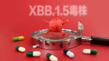 XBB.1.5 Variant: WHO के मुताबिक, Covid-19 का ये नया वेरिएंट अब तक कम से कम 28 देशों में दस्तक दे चुका है। अमेरिका में कोरोना वायरस संक्रमण के नए मामलों में वृद्धि के लिए इसी वेरिएंट को जिम्मेदार माना जा रहा है। आंकड़ों के मुताबिक, भारत में दर्ज किए गए 7 मामलों में से 3 गुजरात में और एक-एक कर्नाटक, तेलंगाना, छत्तीसगढ़ तथा राजस्थान में पाए गए हैं।