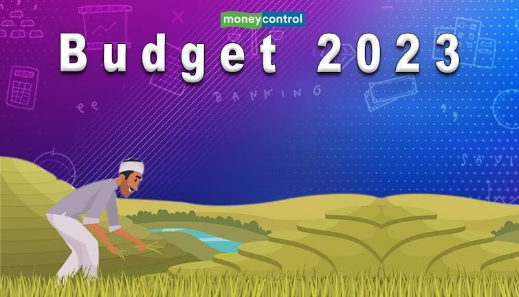 Union Budget 2023-24 : वित्तमंत्रीजी किसानों की इनकम अब भी दोगुनी नहीं हुई है, क्या आप इसके लिए उपाय करेंगी?