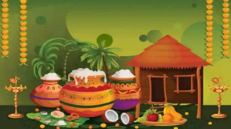 Pongal Celebrations in Tamil Nadu | The India Review TIR