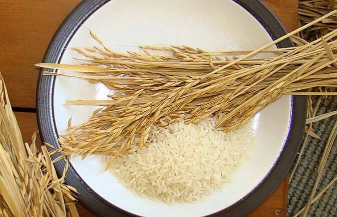 Basmati Rice असली है या नकली, अब कंफ्यूजन नहीं, पहली बार सरकार ने तय किए इसके मानक