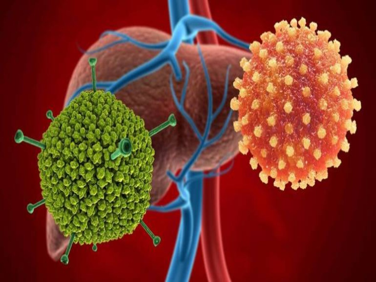Adenovirus: कोरोना के बाद अब बंगाल में एडिनोवायरस का कहर! दो बच्चों की मौत के बाद राज्य में हाई अलर्ट, जानें लक्षण और इलाज सहित पूरी डिटेल - Adenovirus scare in West Bengal state on high alert 2 Children Die of Suspected Infection Check Signs Symptoms And ...