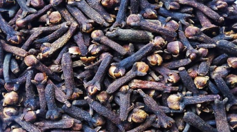 Clove Benefits: दो लौंग खाने से छूट जाएगी सिगरेट और शराब की लत, जानिए कैसे करें सेवन Clove Benefits: दो लौंग खाने से छूट जाएगी सिगरेट और शराब की लत, जानिए कैसे करें सेवन