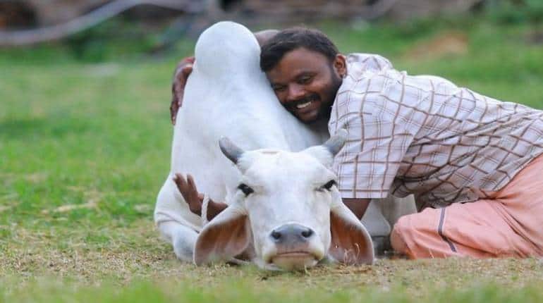 Valentine's Day नहीं 14 फरवरी को कपल्स मनाएं Cow Hug Day, जानें सरकार के किस मंत्रालय ने की ये अपील Valentine's Day नहीं 14 फरवरी को कपल्स मनाएं Cow Hug Day, जानें सरकार के किस मंत्रालय ने की ये अपील