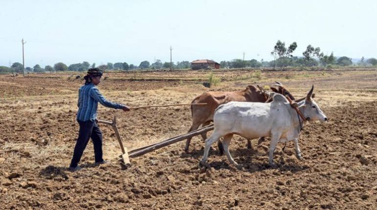 PM Kisan Maandhan Yojana: किसानों को हर महीने मिलेंगे 3000 रुपये पेंशन, जानिए कैसे उठाएं फायदा PM Kisan Maandhan Yojana: किसानों को हर महीने मिलेंगे 3000 रुपये पेंशन, जानिए कैसे उठाएं फायदा