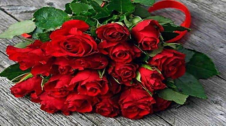 Rose Day 7 February 2023: आज से वैलेंटाइन वीक की शुरुआत, जानिए पहले दिन क्यों मनाते हैं रोज डे