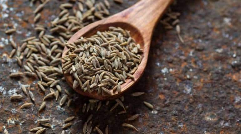 Cumin Seeds: कहीं आप भी तो नहीं खा रहे हैं नकली जीरा, ऐसे करें पहचान Cumin Seeds: कहीं आप भी तो नहीं खा रहे हैं नकली जीरा, ऐसे करें पहचान