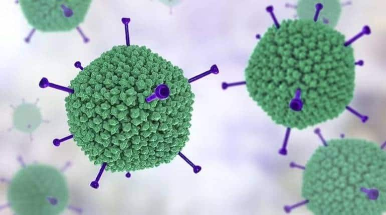Adenovirus: पश्चिम बंगाल में बढ़ रहा है एडिनोवायरस का कहर, 9 दिन में 36 बच्चों की मौत Adenovirus: पश्चिम बंगाल में बढ़ रहा है एडिनोवायरस का कहर, 9 दिन में 36 बच्चों की मौत