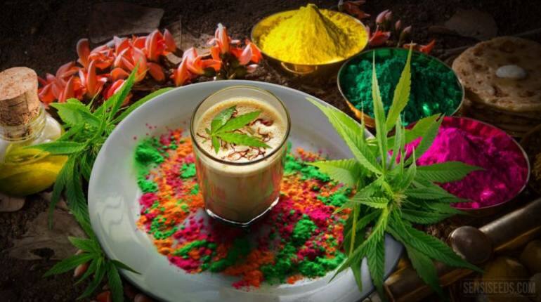 Holi 2023: आ गई होली खूब छनेगी भांग की ठंडाई, कभी न करें ऐसी गलती, नहीं तो फंस जाएंगे
