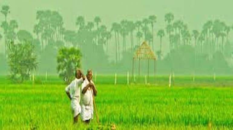PM Kisan Samman Nidhi: 14वीं किश्त जल्द होगी जारी, जानिए तारीख और अन्य पूरी डेटल्स