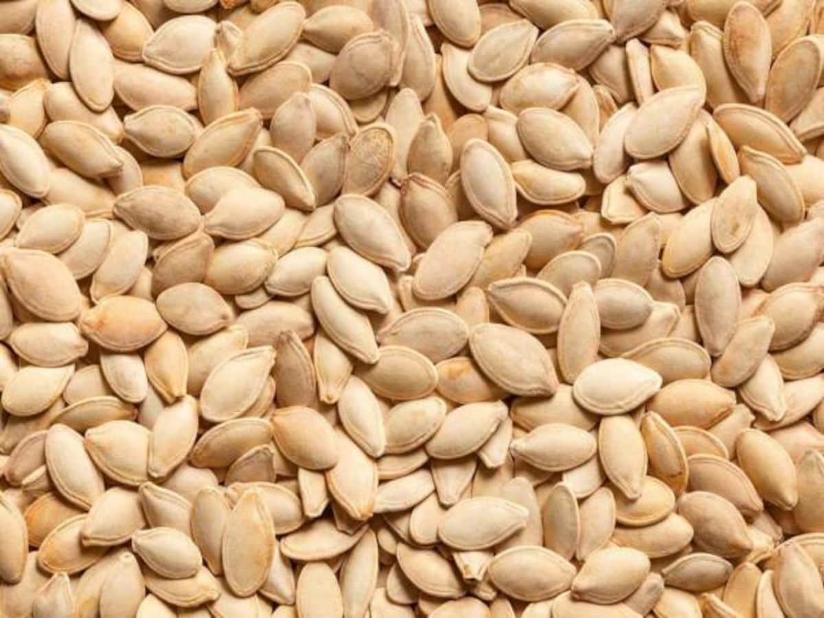 PumpkinFB Pumpkin Seed: पुरुषों को कद्दू के बीजों में मिलेंगे करिश्माई फायदे, जानिए कैसे करें सेवन - Pumpkin Seed benefits prostate cancer blood pressure immune system check details | Moneycontrol Hindi