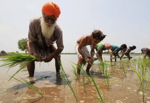Kisan Credit Card Scheme: किसानों को मिले 3-3 लाख रुपए, 3 करोड़ किसान उठा रहे हैं सरकार की इस योजना का फायदा, आप भी उठाएं