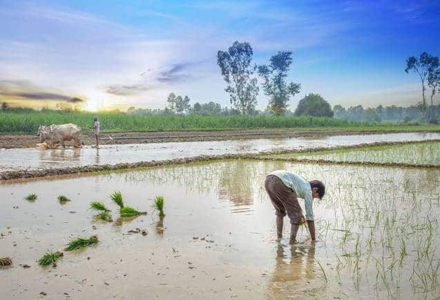 PM Kisan Yojana: पात्र होने के बाद भी अकाउंट में नहीं आते पैसे, जानिए कारण