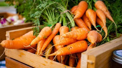 Carrot Benefits: गाजर सेहत के लिए बेहद फायदेमंद है। इसके सेवन से कई बीमारियों से छुटकारा मिल सकता है  