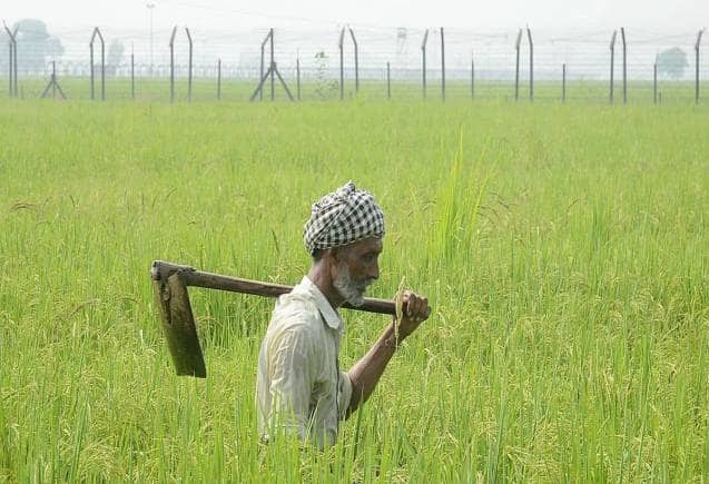 PM Kisan Yojana: लिस्ट में दिख रहा है ये मैसेज तो नहीं मिलेंगे 14वीं किश्त के 2000 रुपये, जानिए क्या करें