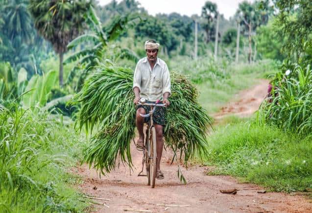 PM Kisan Yojana: झांसी में भूतों को मिल रहा है पीएम किसान सम्मान निधि का फायदा, जांच में हुआ खुलासा