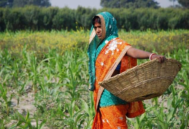 PM Kisan Yojana: किसानों के लिए खुशखबरी! इस तारीख को मिलेंगे 2,000 रुपये