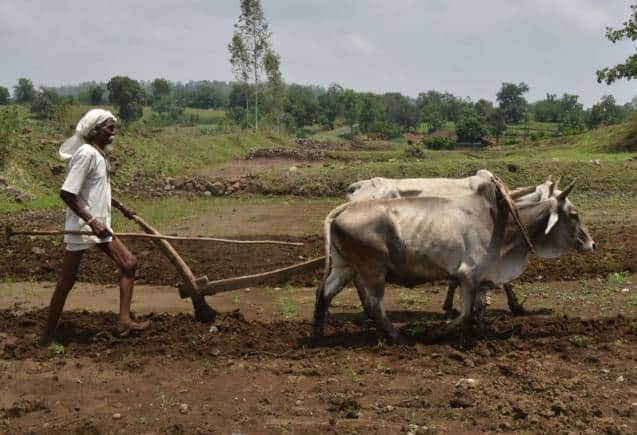 PM Kisan Yojana: क्या दूसरों के खेत में खेती करने से मिलेगी पीएम किसान की किश्त, जानिए क्या है नियम – PM Kisan Samman Nidhi Yojana advantage by doing farming on other people land know details