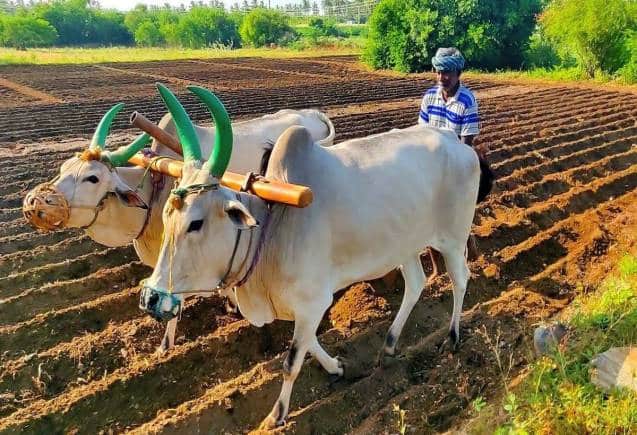 PM Kisan Yojana: इन लोगों को नहीं मिलेंगे 14वीं किश्त के 2000 रुपये, जानिए क्या कहता है नियम
