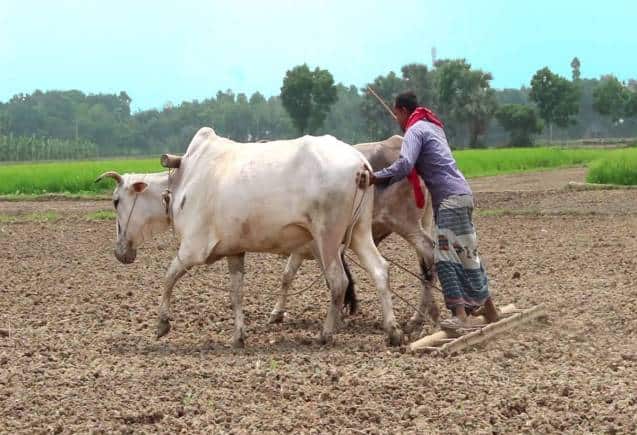 PM Kisan Yojana: हर किश्त में तेजी से कम हो रहें लाभार्थी किसान, जानिए वजह