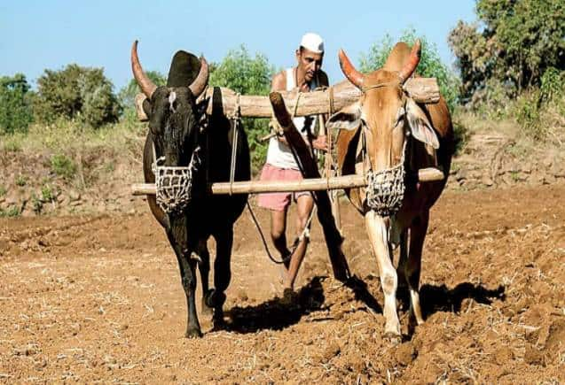 PM Kisan Yojana: इन किसानों को हर साल मिलेंगे 12000 रुपये, सरकार ने किया ऐलान – PM Kisan Samman Nidhi Yojana Farmers get 12000 rupees every year MahaRashtra Namo kisan maha samman nidhi Scheme