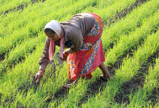 PM Kisan Yojana: इन किसानों को लौटाना पड़ेगा पूरा पैसा, ऐसे करें ऑनलाइन रिफंड