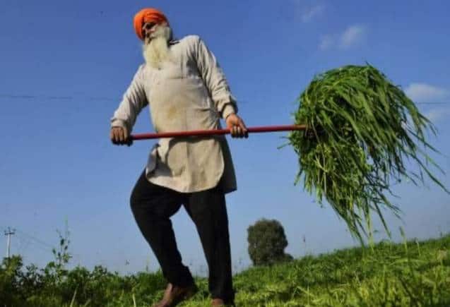कैबिनेट ने अप्रैल-सितंबर खरीफ सीजन के लिए 1.08 लाख करोड़ रुपये की फर्टिलाइजर सब्सिडी को दी मंजूरी