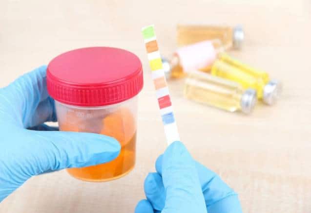 Diabetes Urine Symptoms: पेशाब में दिखने वाले ये लक्षण डायबिटीज के हो सकते हैं संकेत, फौरन करें ये काम