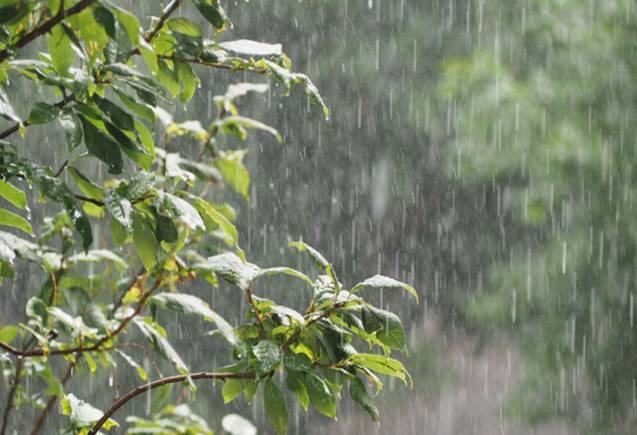 Cyclone Mocha: बांग्लादेश-म्यांमार तटीय क्षेत्र की ओर बढ़ सकता है चक्रवाती तूफान, इन राज्यों में बारिश की चेतावनी Cyclone Mocha: बांग्लादेश-म्यांमार तटीय क्षेत्र की ओर बढ़ सकता है चक्रवाती तूफान, इन राज्यों में बारिश की चेतावनी