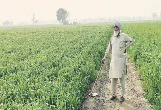 इस राज्य के किसानों को मिल रहे हैं 7000 रुपये, 31 जुलाई तक उठाएं फायदा