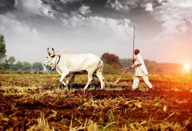 PM Kisan Yojana: किसानों के लिए बड़ी खुशखबरी! जून के  इस हफ्ते में मिल सकते हैं 2000 रुपये