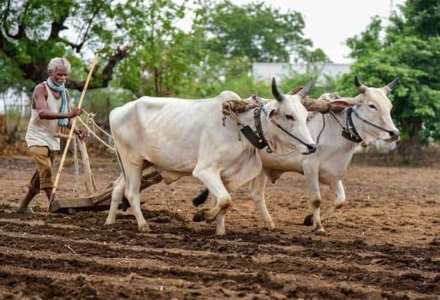 PM Kisan Yojana: इस राज्य में मुर्दे और सरकारी कर्मचारी ले गए करोडों रुपये, CAG की रिपोर्ट में हुआ बड़ा खुलासा