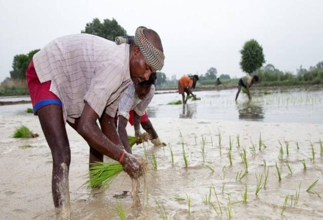 PM Kisan Yojana: इस दिन किसानों को मिलेंगे 2000 रुपये, ऐसे चेक करें लिस्ट में नाम है या नहीं