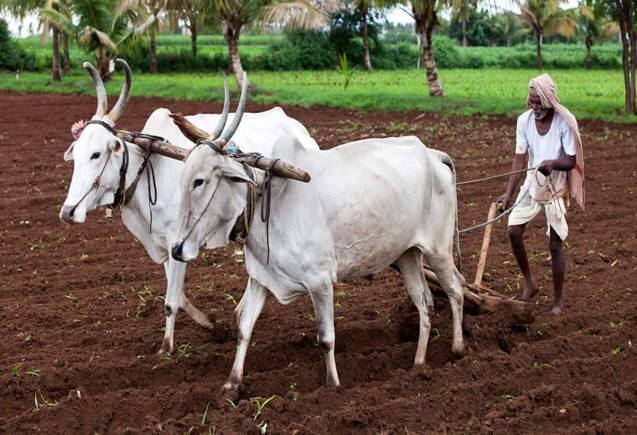 PM Kisan Yojana: करोड़ों किसानों को खुशखबरी! इस दिन मिलेंगे 2000 रुपये, ऐसे करें चेक