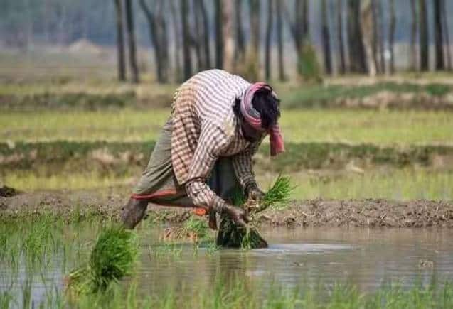 PM Kisan Yojana: फर्जीवाड़े पर लगेगी रोक, सरकार ने लॉन्च किया ऐप, घर बैठे ऐसे उठाएं फायदा