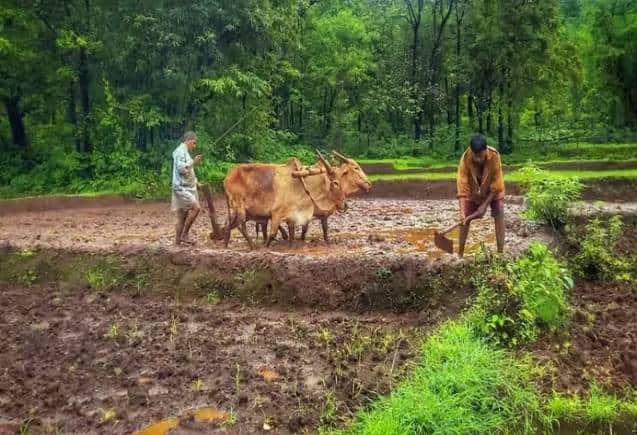 PM Kisan Yojana: इस दिन किसानों को मिलेगा 14वीं किश्त का फायदा, इस बार मिलेंगे इतने रुपये