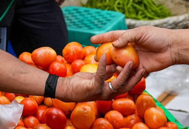 Explainer: आपके शहर में क्यों बढ़ रही हैं टमाटर की कीमतें? समझें क्या है इसका कारण और कैसे पड़ता है असर Explainer: आपके शहर में क्यों बढ़ रही हैं टमाटर की कीमतें? समझें क्या है इसका कारण और कैसे पड़ता है असर