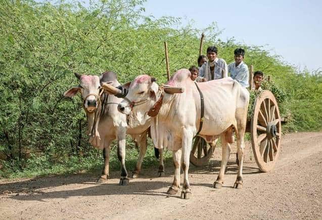 PM Kisan Yojana: यह जरूरी नहीं कि सभी किसानों को मिलेंगे 2000 रुपये, योजना में हुए कई अहम बदलाव