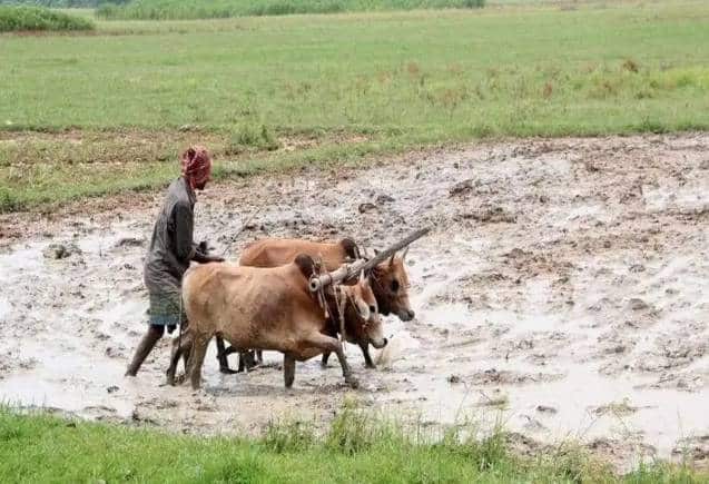 PM Kisan Yojana: 8 करोड़ किसानों के लिए बड़ी खबर, 14वीं किश्त के पहले योजना में हो गए ये बदलाव