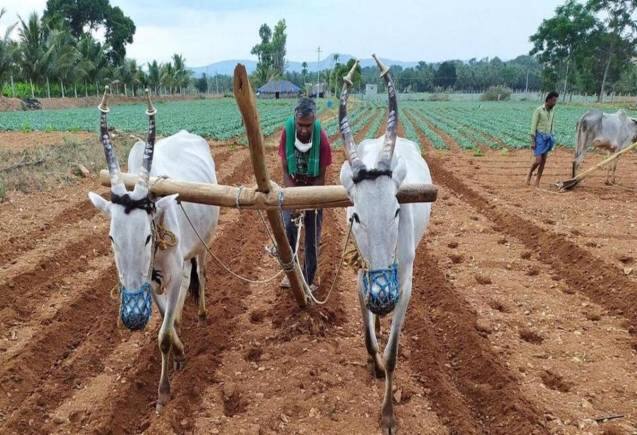 PM Kisan Yojana: करोड़ों किसानों के लिए बड़ी खबर! 14वीं किश्त के पहले चेक करें यह लिस्ट